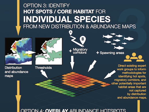 Marine life and habitat data development and synthesis to support the Northeast Ocean Plan and Northeast Ocean Data Portal